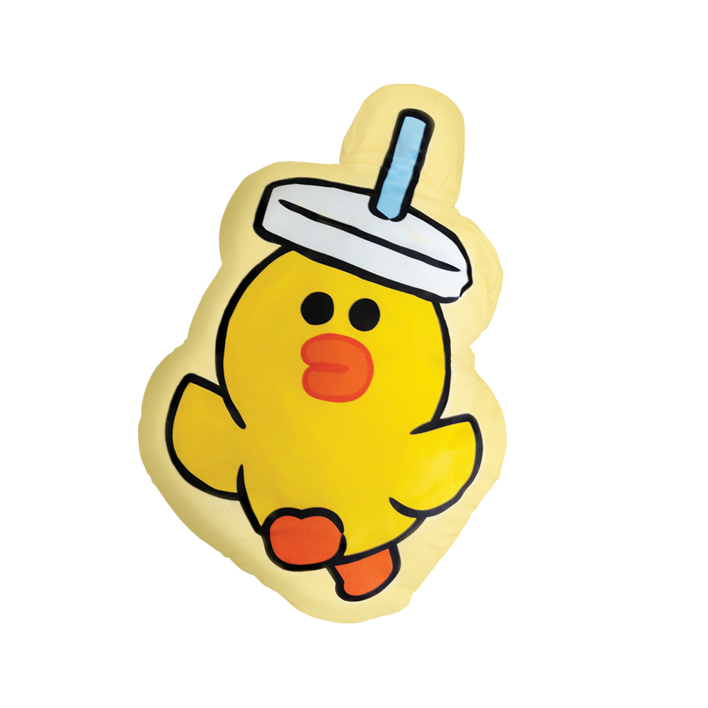 LINE FRIEND 23" SALLY Cushion